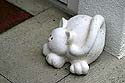 Chat de porte suisse  - &copy; Norbert Pousseur