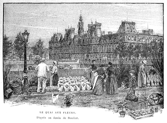 Le quai aux fleurs et l'Hôtel de Ville de Paris - reproduction  Norbert Pousseur