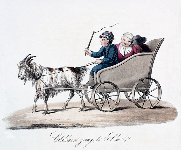 Cart pulled by a goat - Engraving reproduced and digitally restored by © Norbert Pousseur