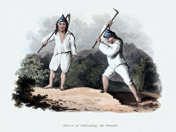Manner of cultivaing the ground  in Madeira around 1820 - engraving reproduced and restored by © Norbert Pousseur