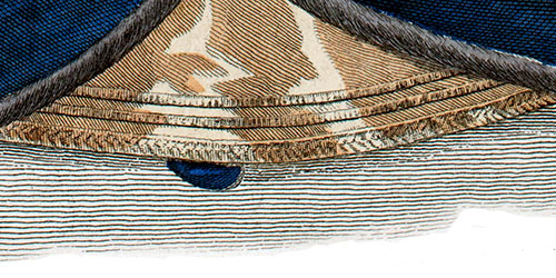 Crev&eacute;s aux manches de Jacques Cartier