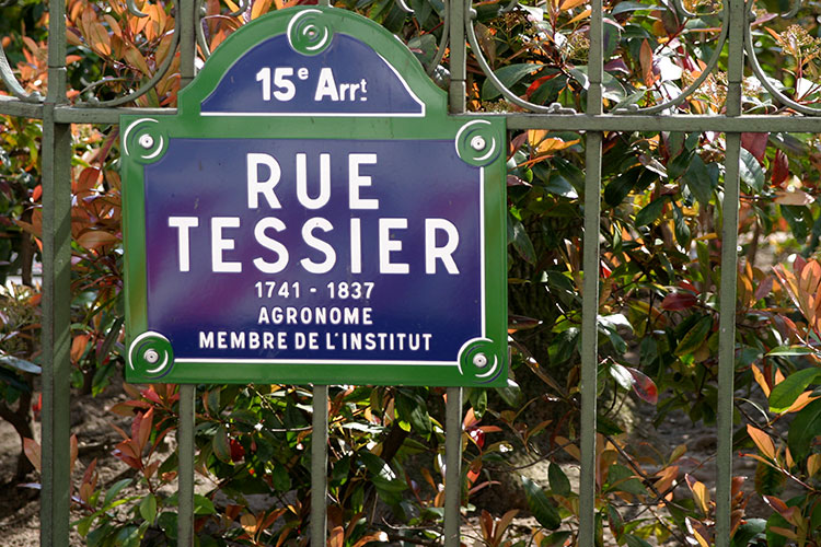 Alexandre Henri Tessier, agronome, membre de l'Institut, rue de Paris - © Norbert Pousseur