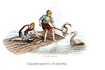 Cormorans  pêchant - Chine en 1800 - Reproduction de gravure © Norbert Pousseur
