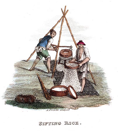 Tamisage du riz - Chine en 1800 - Reproduction de gravure © Norbert Pousseur