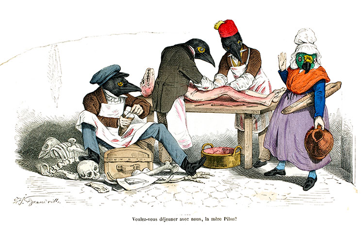 Caricature de Grandville : Médecins légisttes (?) - Gravure reproduite puis restaurée par © Norbert Pousseur Caricature de Grandville : Médecins légisttes (?) - Gravure reproduite puis restaurée par © Norbert Pousseur