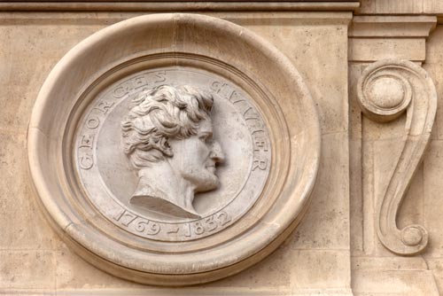 Buste de Georges Cuvier - © Norbert Pousseur